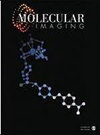 Molecular Imaging杂志封面